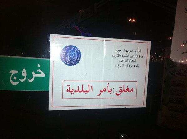 وزغ بالطعام