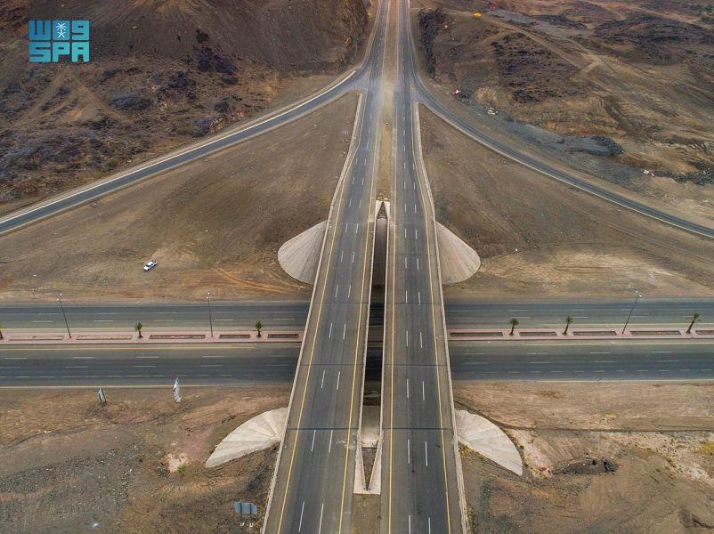 وزارة النقل وزارة النقل