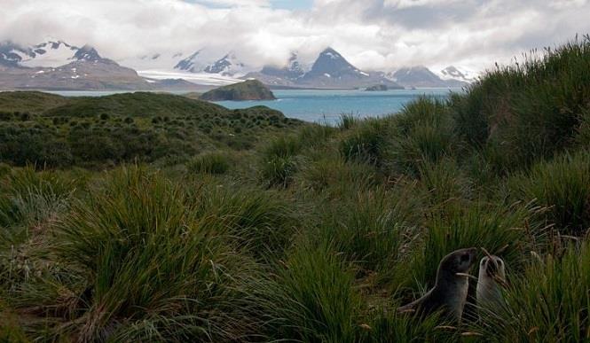 7 من أخطر وأبعد الجزر في العالم 7 من أخطر وأبعد الجزر في العالم