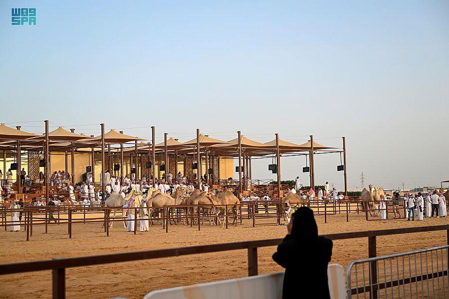 جادة الابل