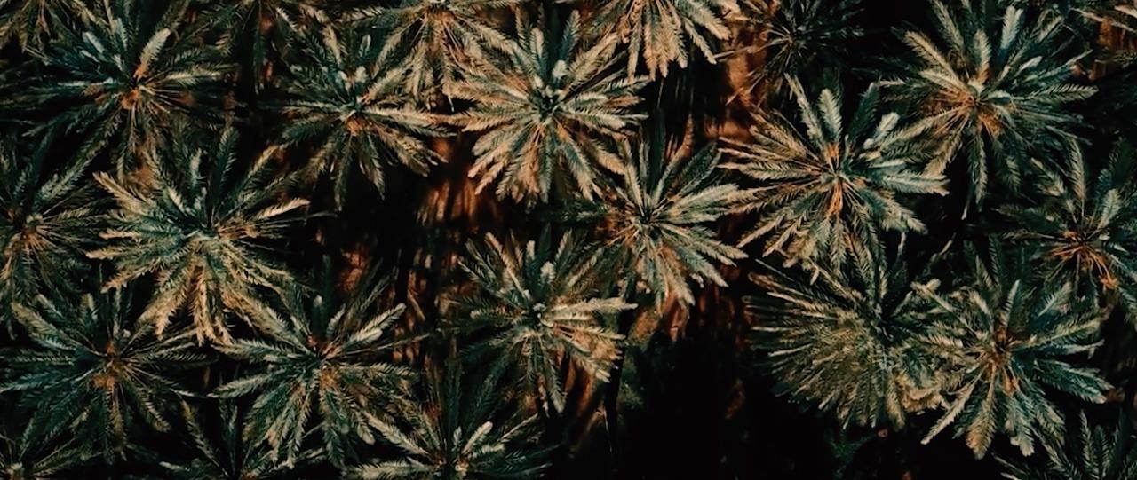 وزير السياحة: افتتاح 38 موقعاً سياحياً في 7 وجهات بحلول 2022