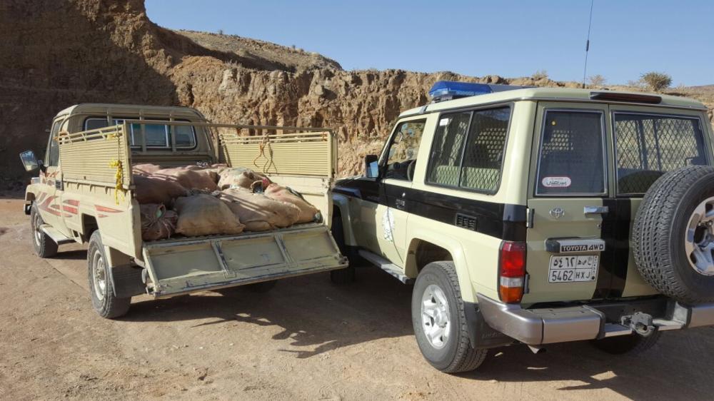 بالصور.. بالصور..