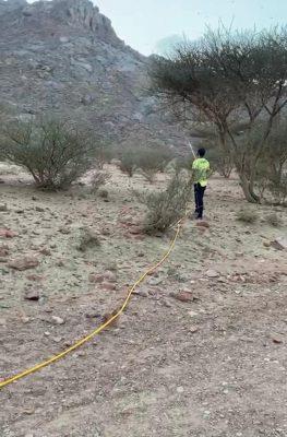 شاهد.. أسراب من الجراد تجتاح محافظة رنية وجهود مكثفة لمكافحته  