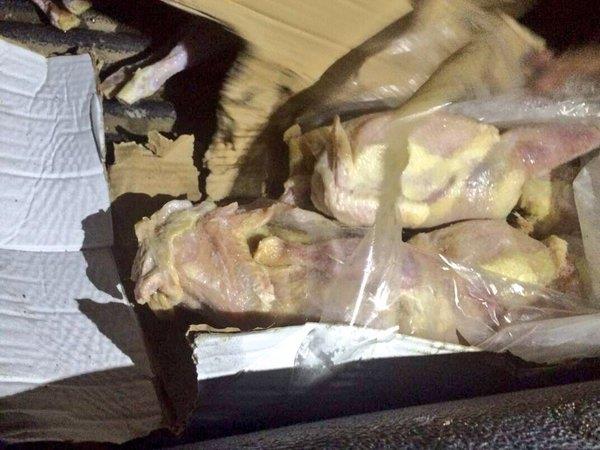 الصور الصور