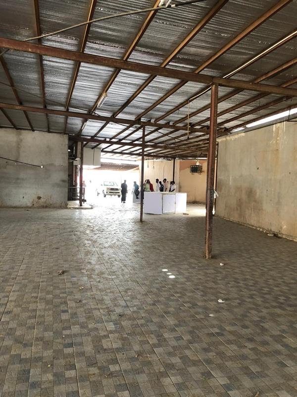  سوقي المحلة غوان وأبوالقعايد