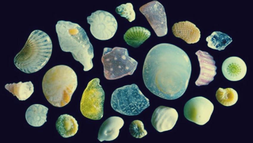 الصورة الصورة