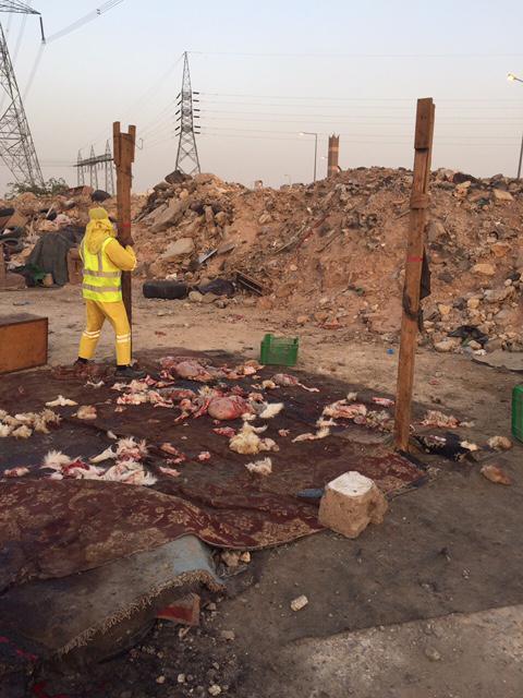 أمانة الرياض تضبط 4 مسالخ عشوائية