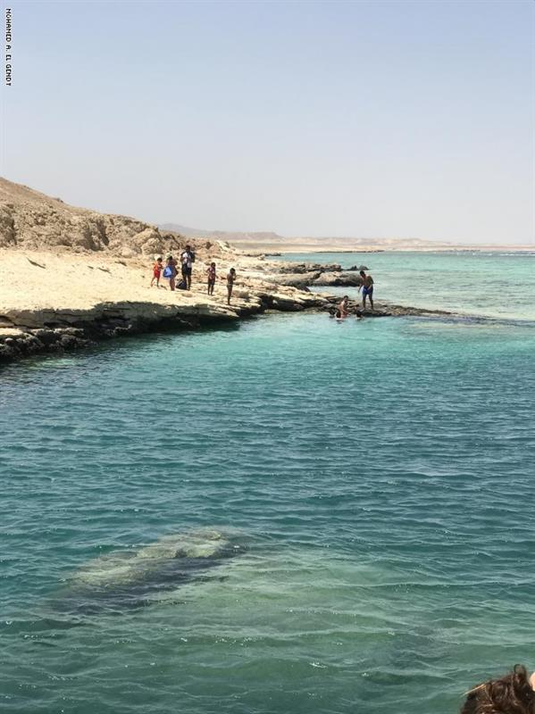 الشاطى الشاطى