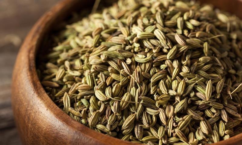 بينها الشوكولاتة الداكنة.. 6 أطعمة تساعد على تغذية ميكروبيوم الأمعاء لصحة أفضل