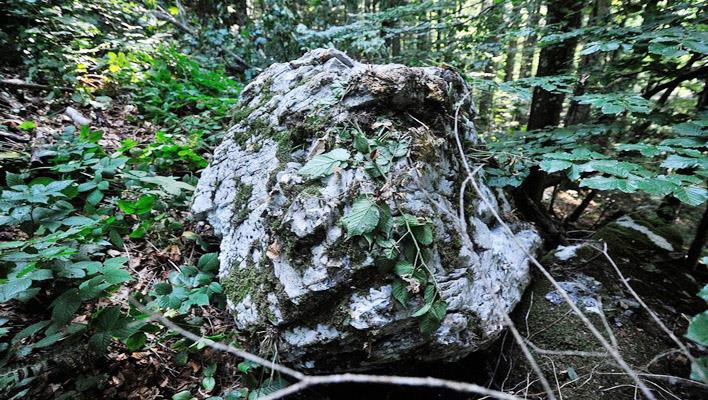 مقتل مهاجرين سوريين جراء سقوط صخور في كرواتيا