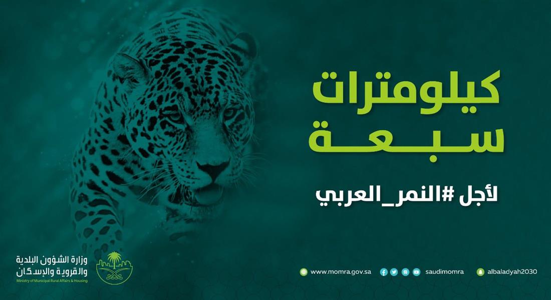 مبادرة عالمية للمشي 7 كلم لحماية القطط