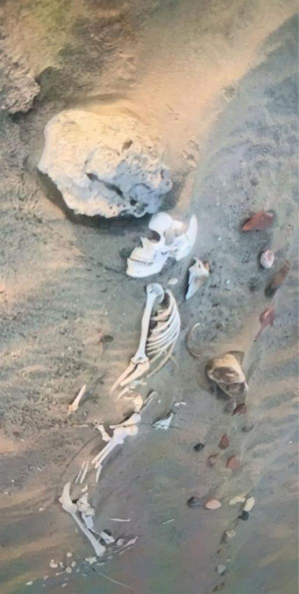 الجماجم والهياكل العظمية في العراء.. الرياح تعري رفات الأموات بمقبرة تاريخية في الليث 