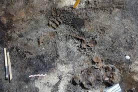 الفايكنج الفايكنج