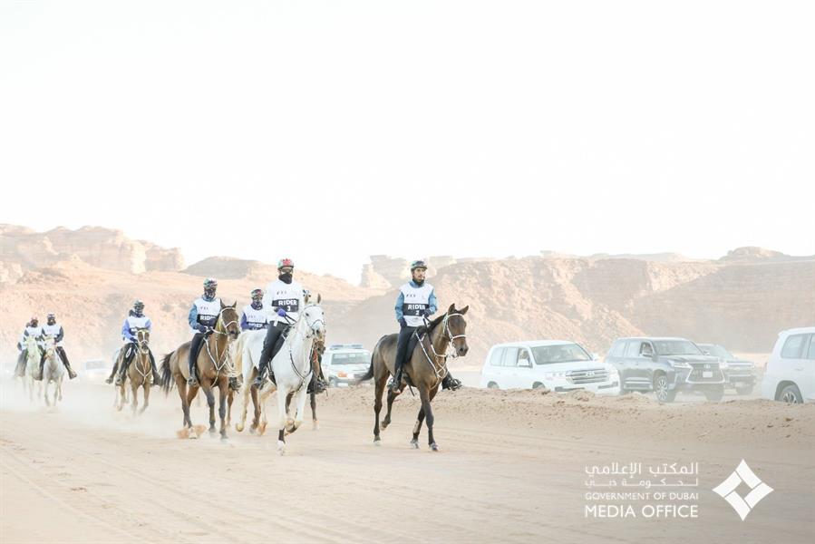 صور.. ولي عهد دبي يشارك في كأس الملك للقدرة والتحمل بالعلا صور.. ولي عهد دبي يشارك في كأس الملك للقدرة والتحمل بالعلا