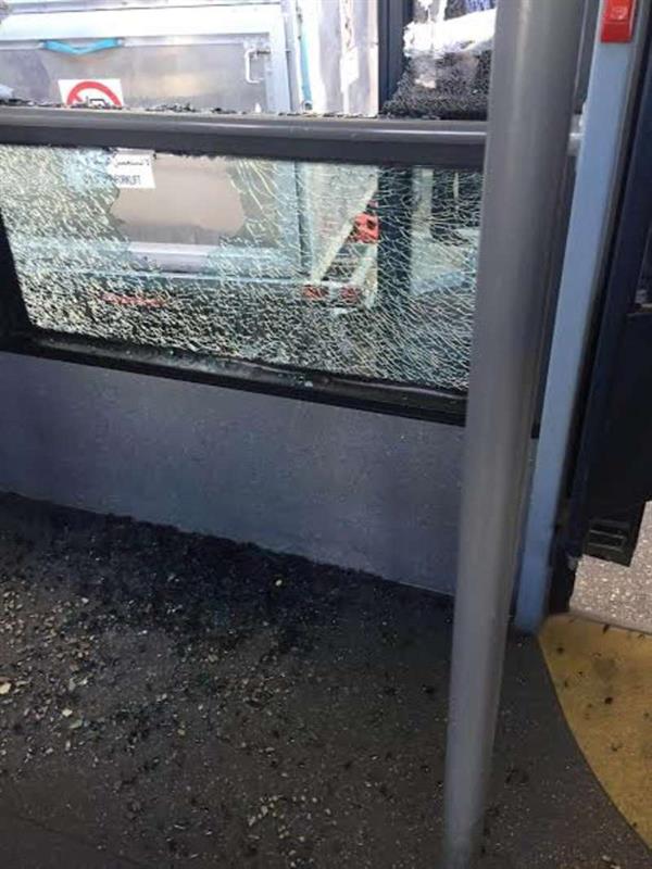 الصورة الصورة