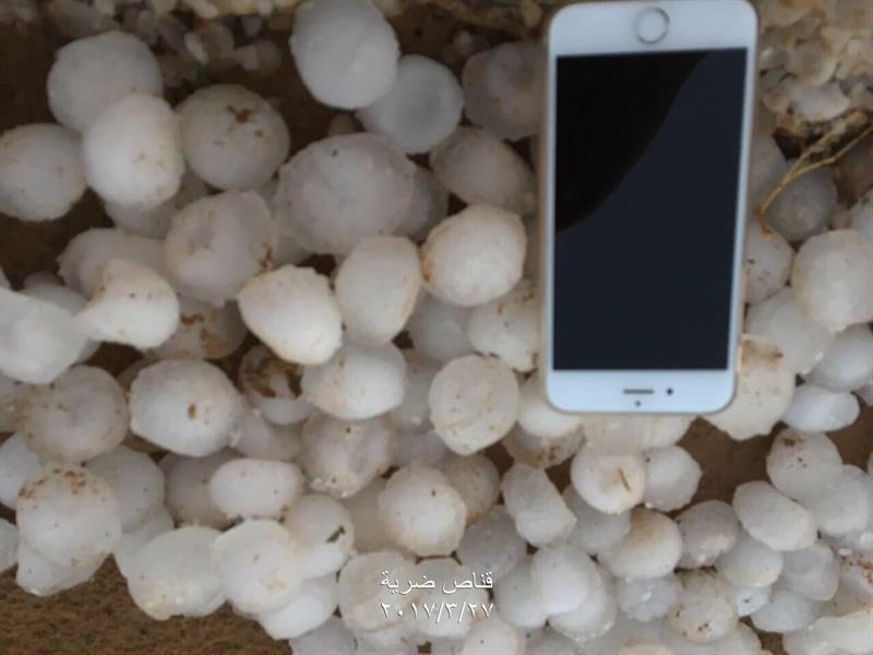 الصورة الصورة