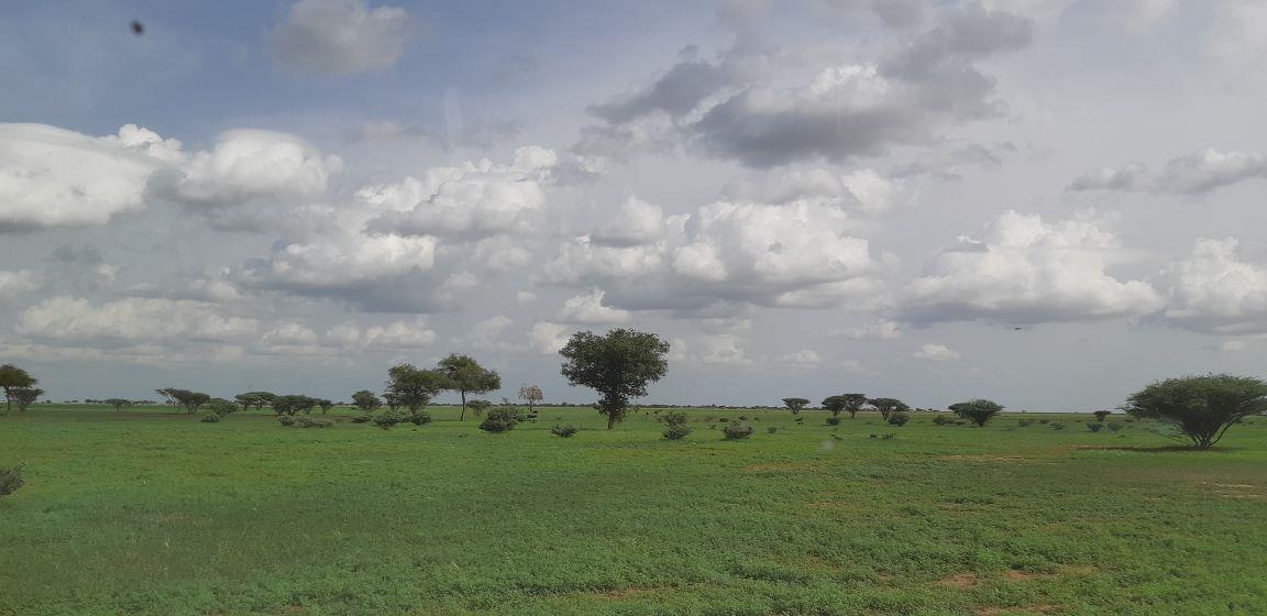 بادية الرشايدة بادية الرشايدة