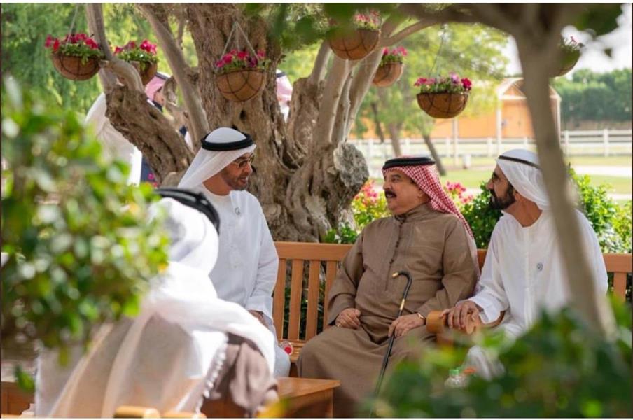 الصور