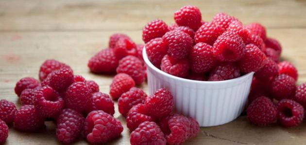 بينها الشوكولاتة الداكنة.. 6 أطعمة تساعد على تغذية ميكروبيوم الأمعاء لصحة أفضل