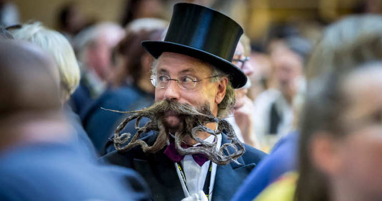 تستضيف مدينة 