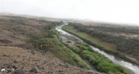 ارشيفية ارشيفية