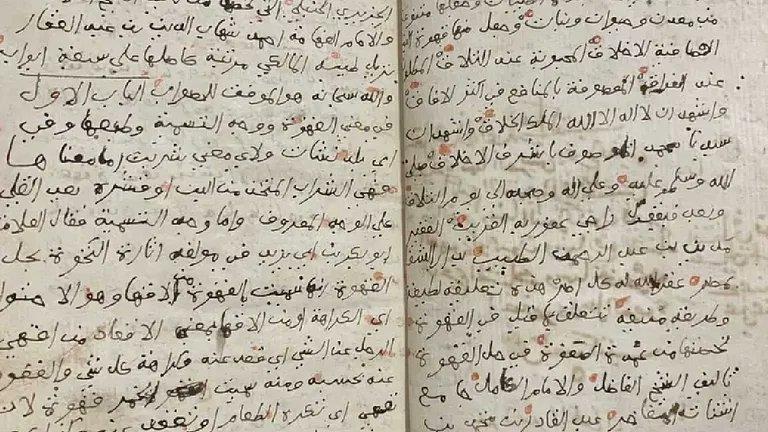 الكشف عن مخطوطة نادرة عن 