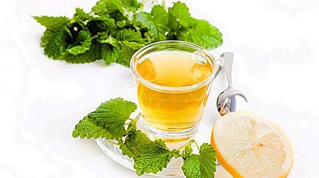 شاي بلسم الليمون شاي بلسم الليمون