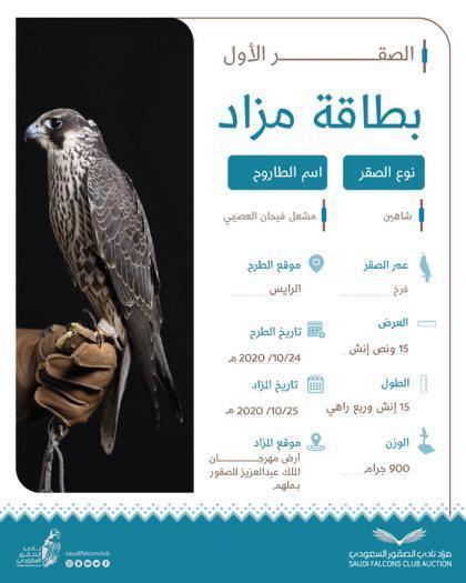 الصقور