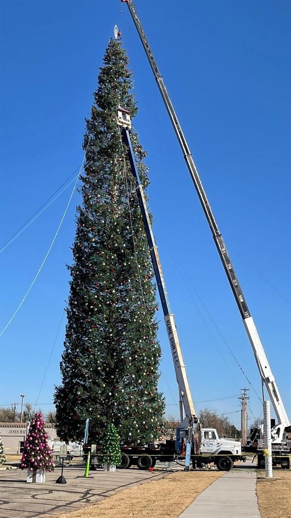 اطول شجرة ميلاد