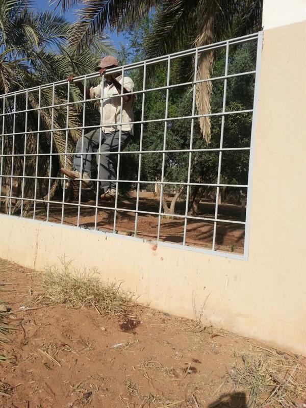 سباع تفترس غزلان