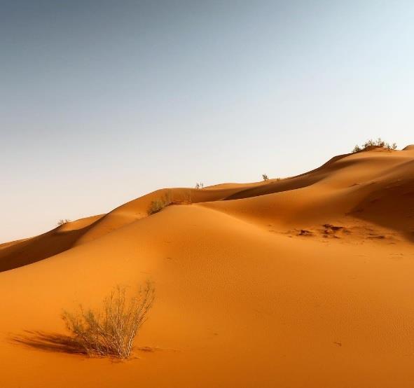 كيف تحدث رحّالة أمريكي عن زيارته للمملكة؟.. ومفاجأة في تقييمه لمهارات القيادة والضيافة