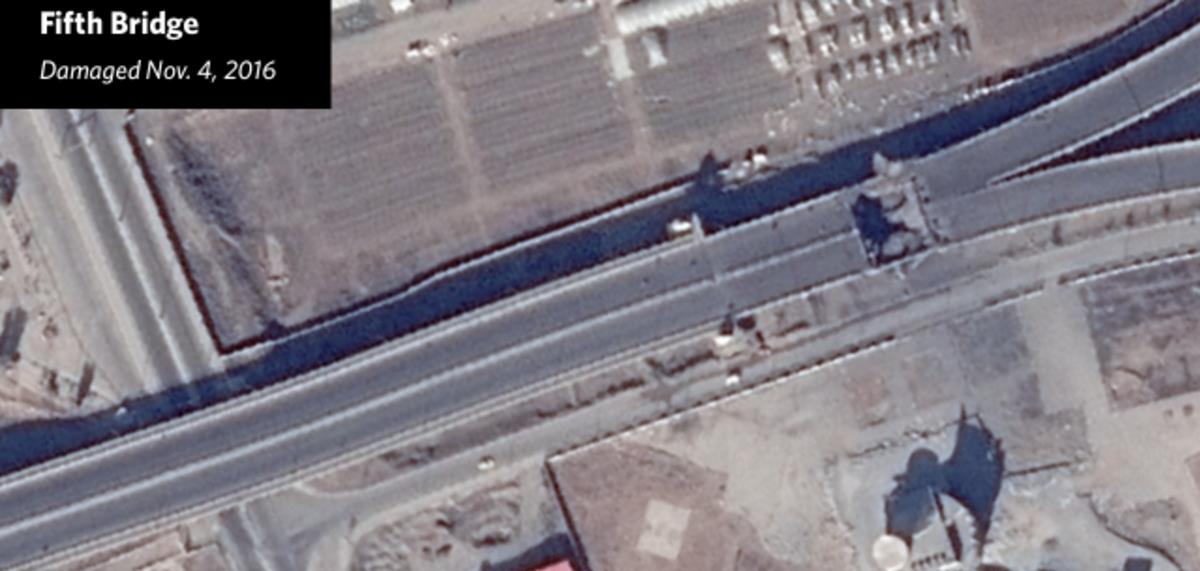 الصور الصور