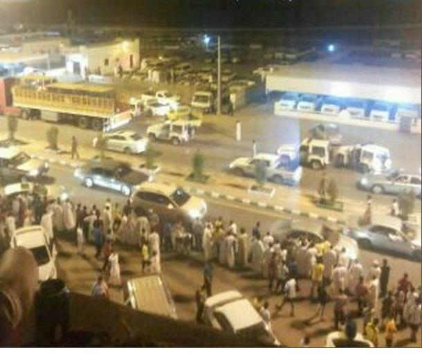 الاسد الهارب