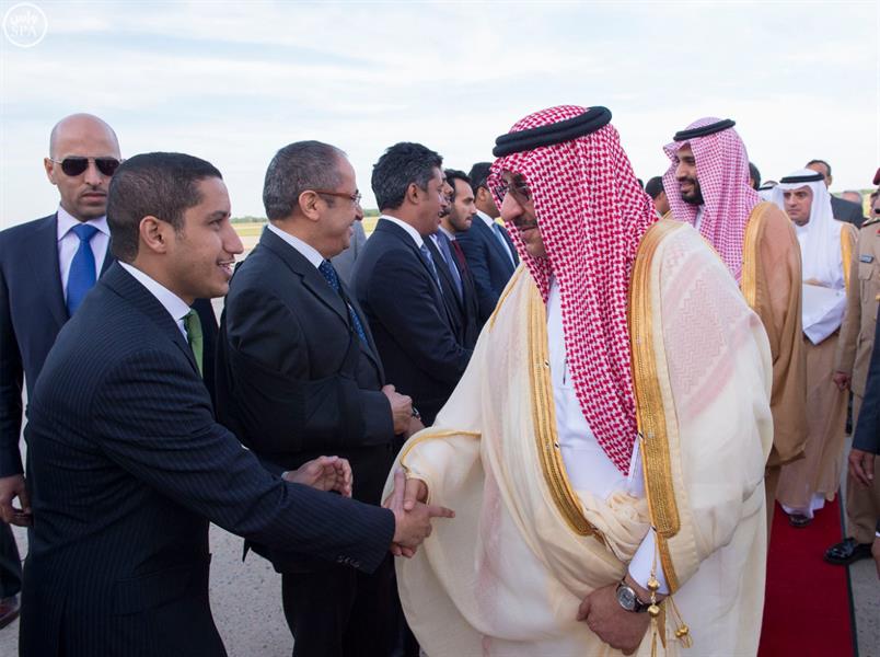 الصور الصور