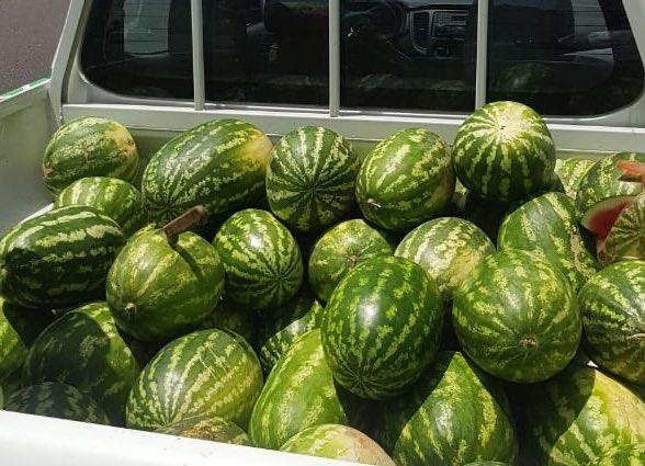 مصادرة نصف طن خضراوات وفواكه من الباعة الجائلين في مكة