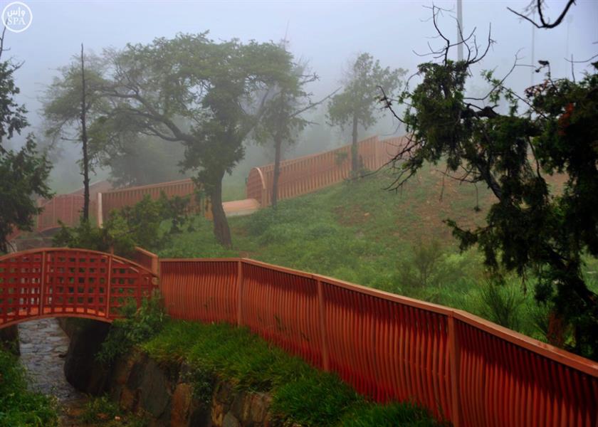 جمال الطبيعة تظهره أمطار الباحة
