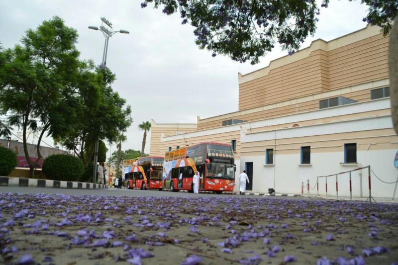 الصورة الصورة