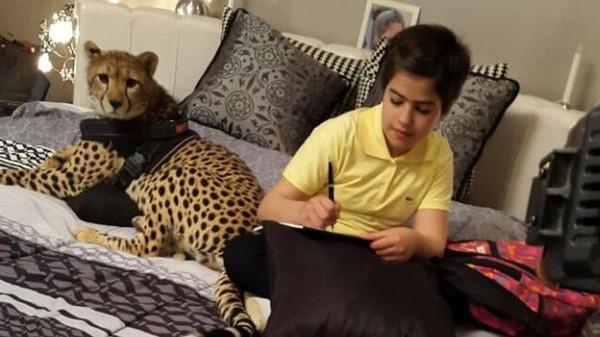 الطفلة مضاوي العنزي