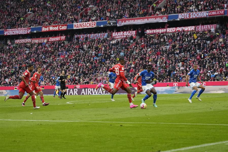 بايرن ميونخ وهوفنهايم 