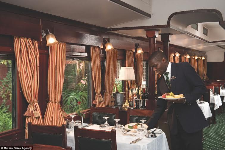 قطار فاخر يقدم رحلات سفاري