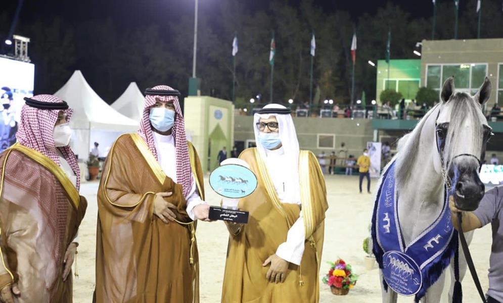 صور.. مستشار خالد الفيصل يتوج الفائزين ببطولة منطقة مكة المكرمة لجمال الجواد العربي 2020