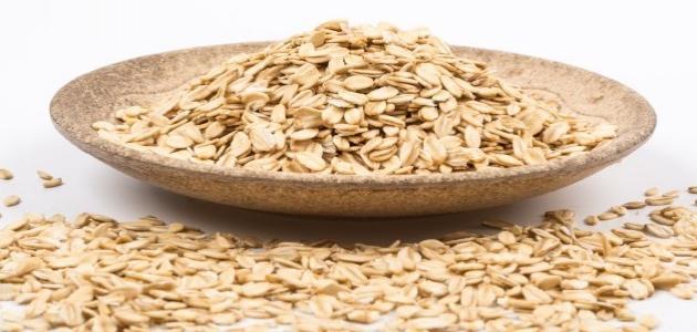 أطعمة تسبب الكسل والخمول وأخرى تبعث النشاط والحيوية أطعمة تسبب الكسل والخمول وأخرى تبعث النشاط والحيوية