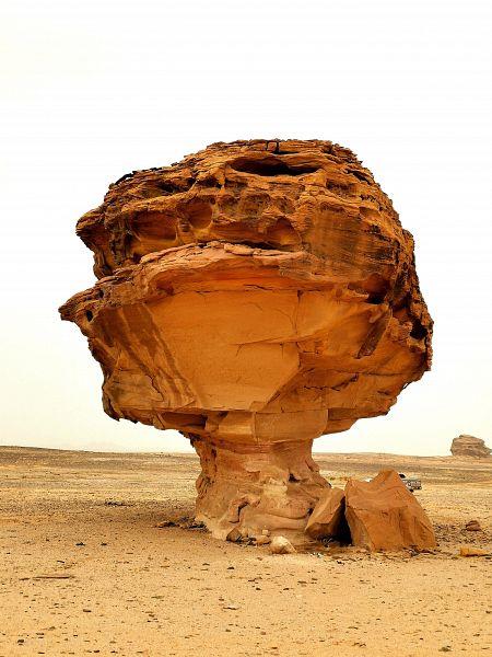 معالم المملكه معالم المملكه