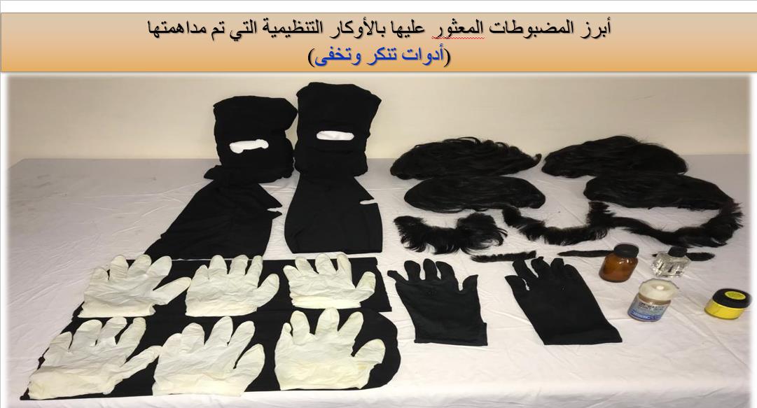 مصر تعلن عن ضبط خلايا إخوانية خططت لتنفيذ عمليات إرهابية