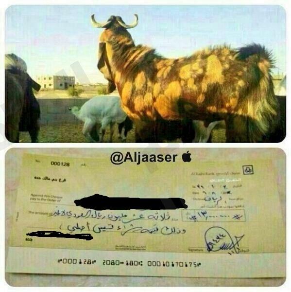 التيس المليوني