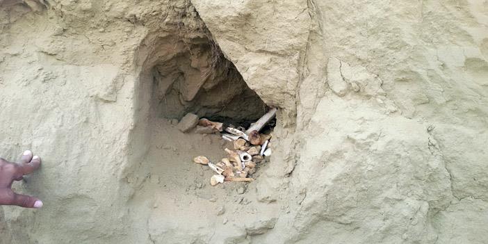 العثور على جماجم وعظام