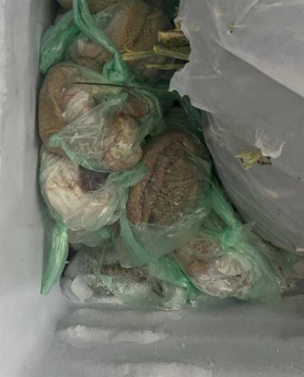 ضَبْط كميات من اللحوم مجهولة المصدر داخل مطبخ في الطائف