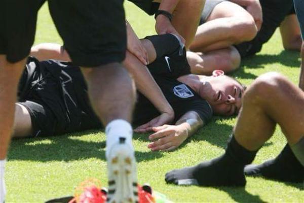 نسيم زيتونى