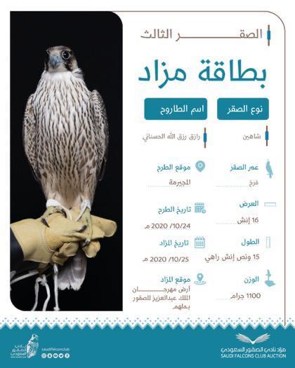 الصقور