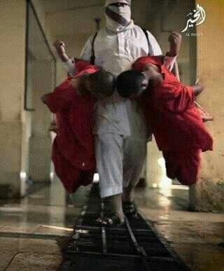 بالصور.. بالصور..